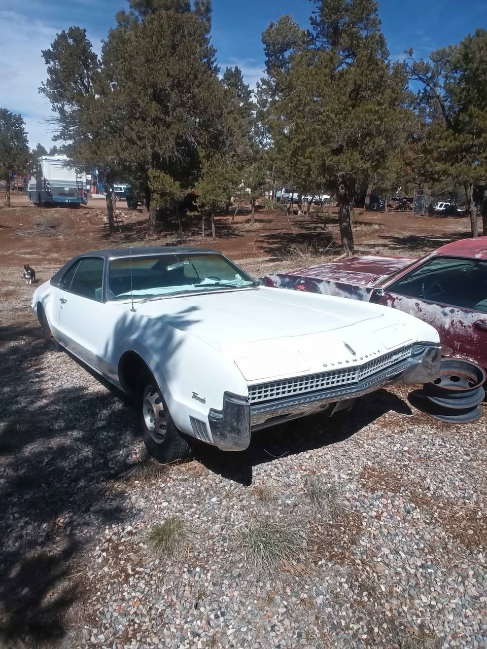 1967 Oldsmobile Tornado