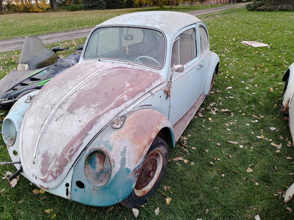 1965 VW Beetle