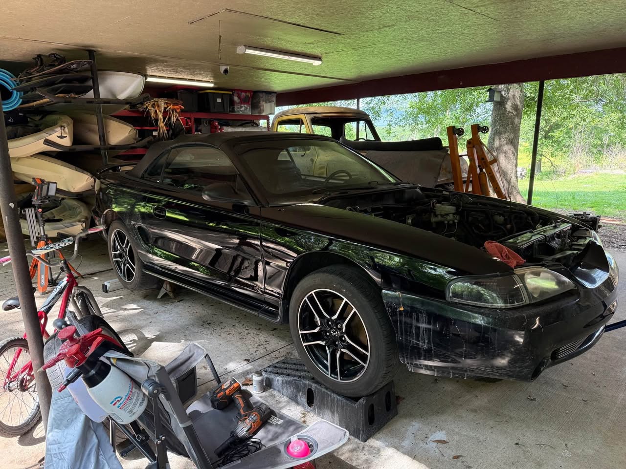 1998 Mustang Cobra SVT