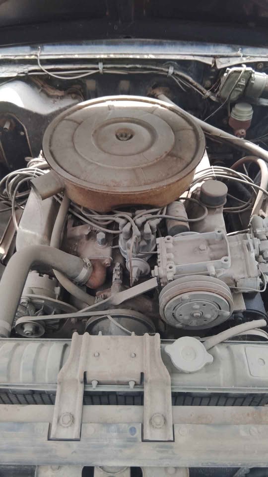 1965 Ford Galaxie