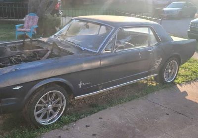 506008413_30073113999001698_4347423441428229923_n