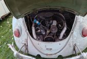 1965 VW Beetle