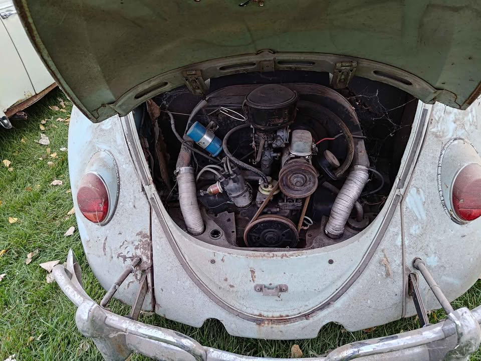 1965 VW Beetle