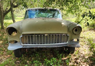 506470583_10237766846534183_6500250693382932752_n