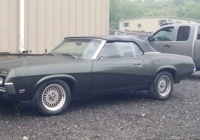 506607652_3656910927936102_3315527648081274814_n