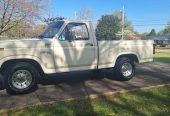 1981 Ford F100