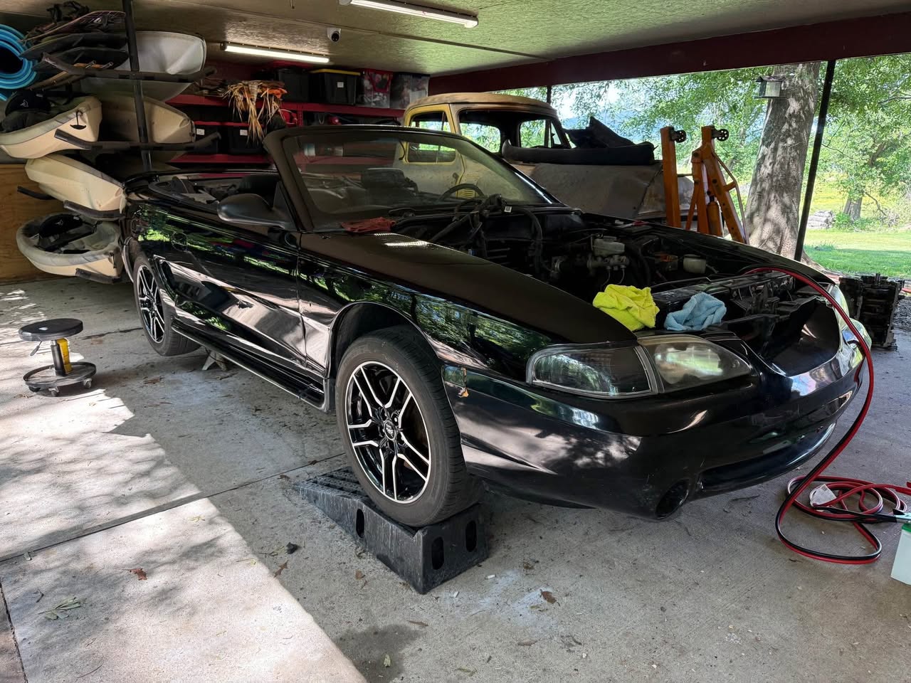 1998 Mustang Cobra SVT