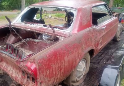 506758164_24142976168633702_2186069769616219871_n