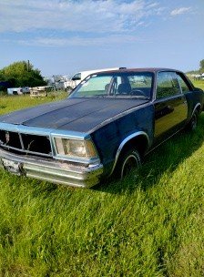 1979 Chevy Malibu