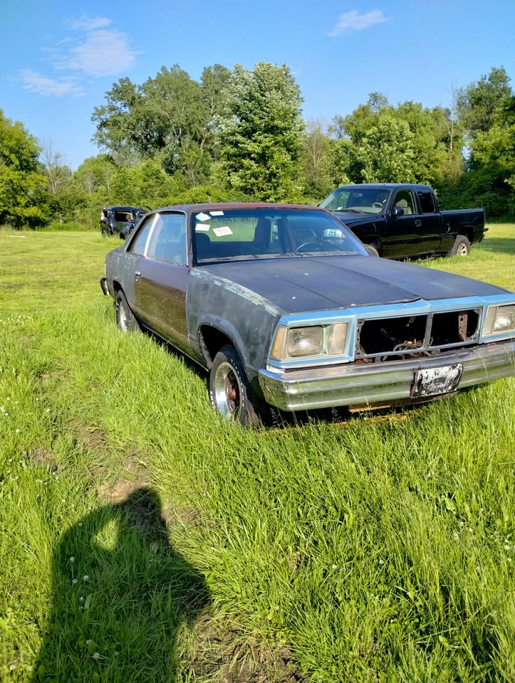 1979 Chevy Malibu