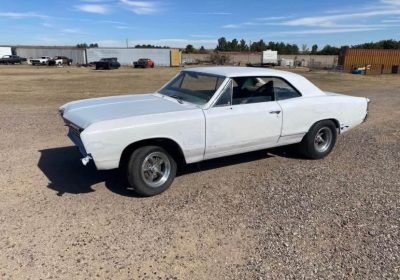 507422883_9850399491752521_5288238949802455313_n