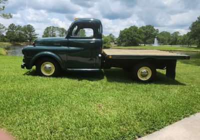 507757438_10236466558714673_7887867824914391824_n