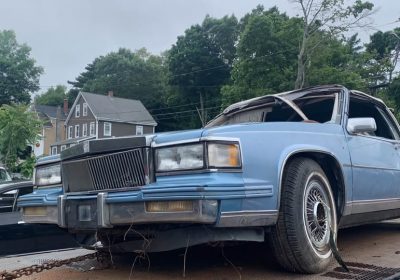 508610018_1478782613106109_7644294083849514245_n