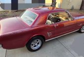 1966 Ford Mustang