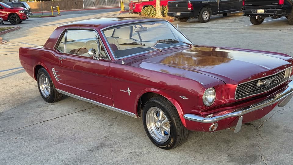 1966 Ford Mustang