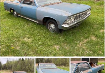 509437574_2537787136567946_7669773939316621242_n