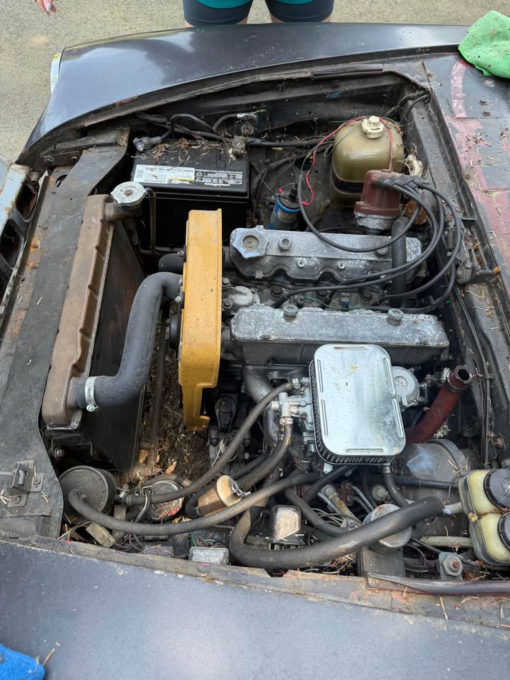 1973 Fiat Spider