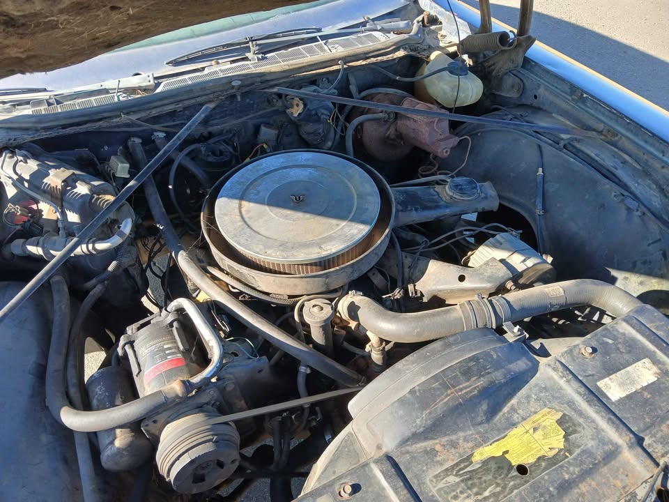 1973 Oldmobile 88