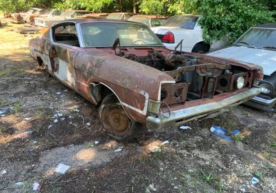 510977020_2754197818302785_101224881438652730_n