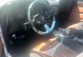 1970 Mustang 302