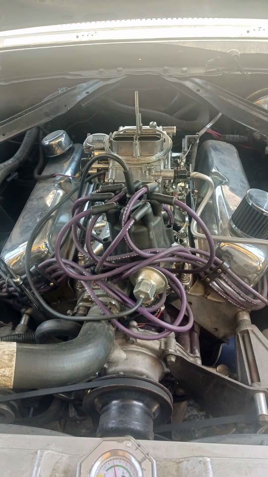 1970 Mustang 302