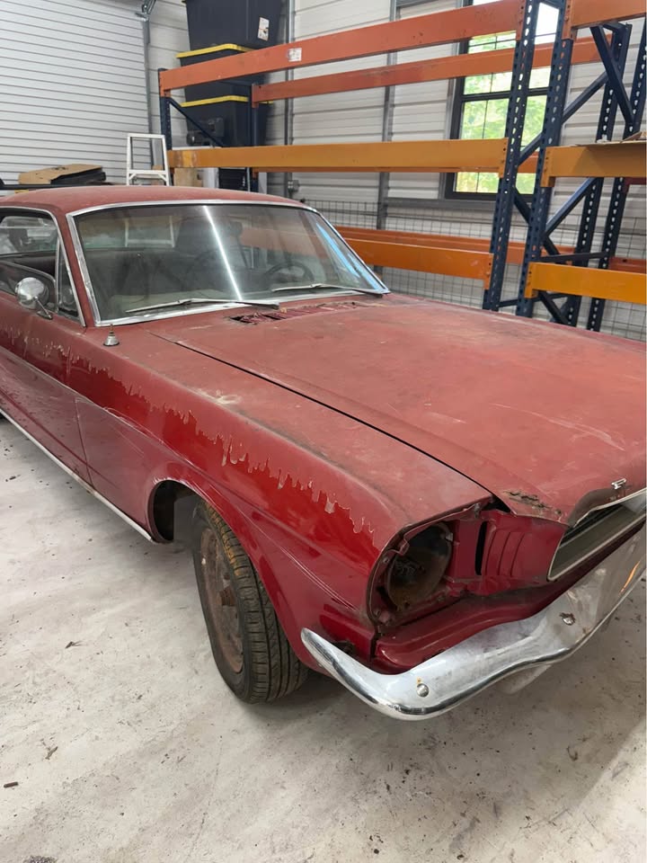1966 Mustang