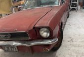 1966 Mustang