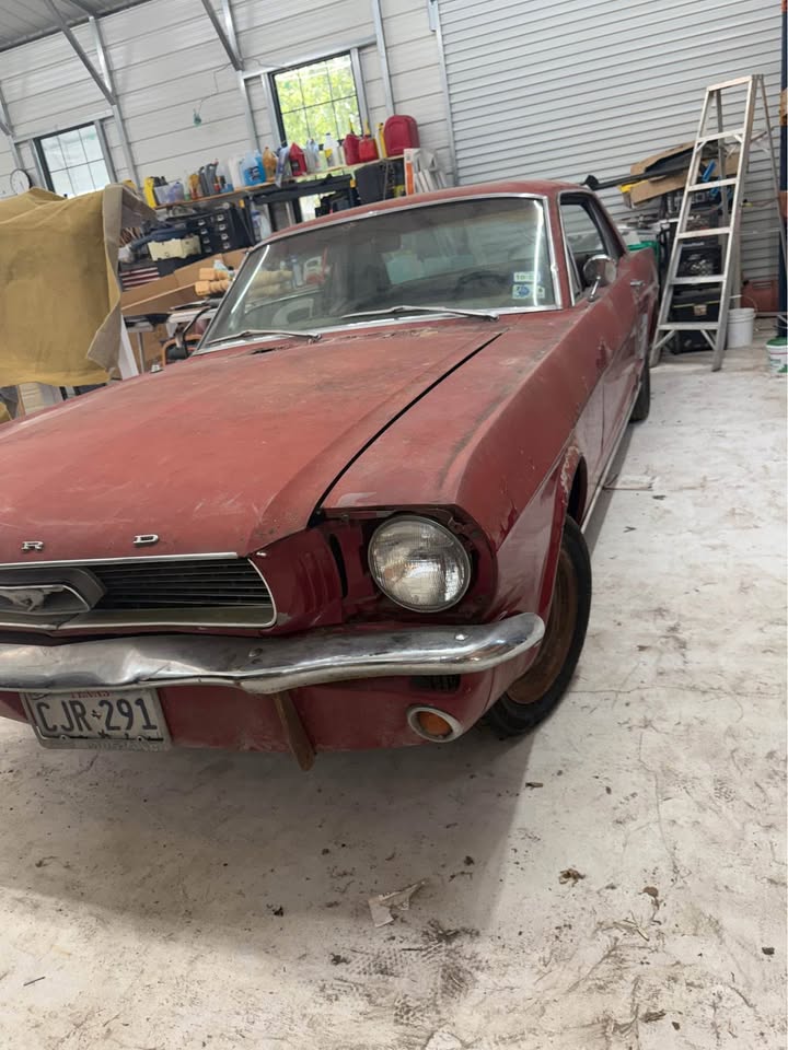 1966 Mustang