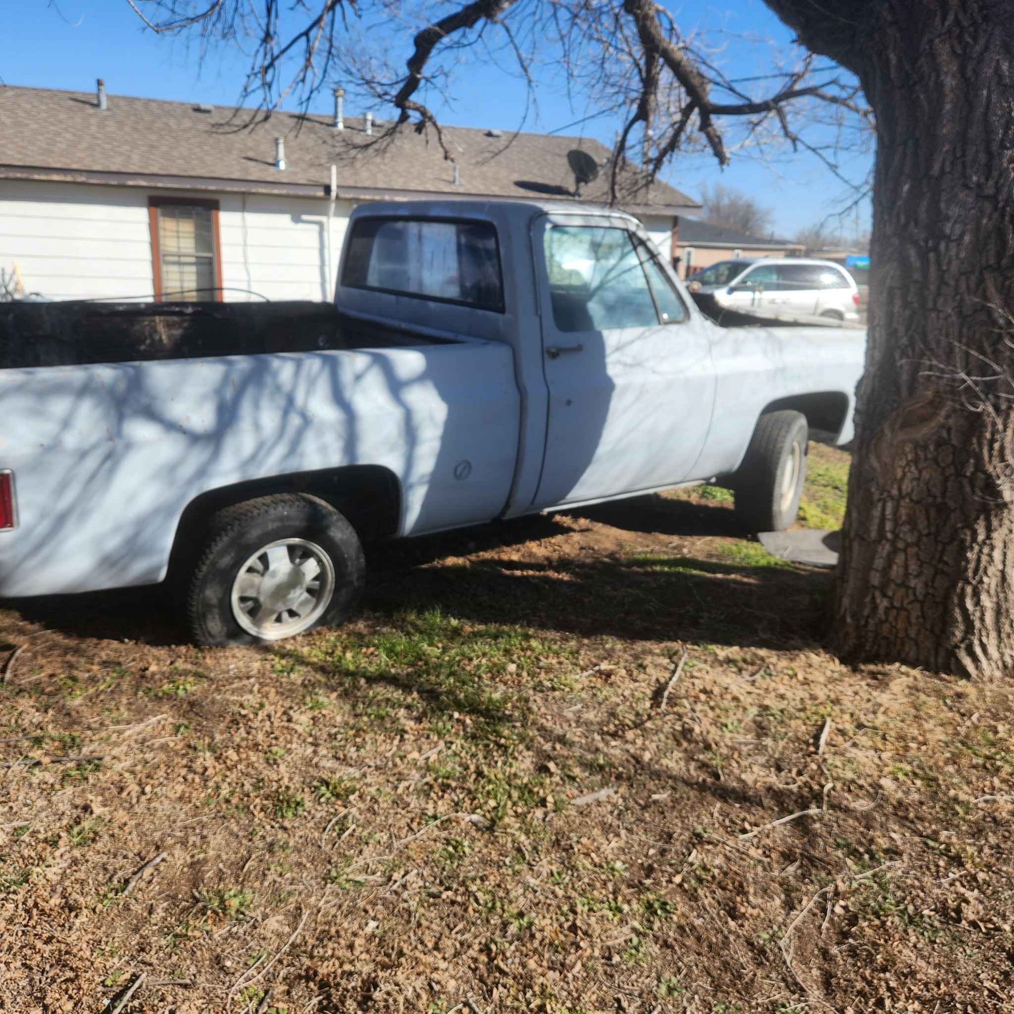 1973 Chevrolet 1500