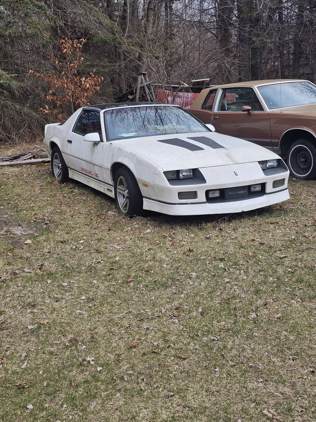 1986 Chevrolet Camaro