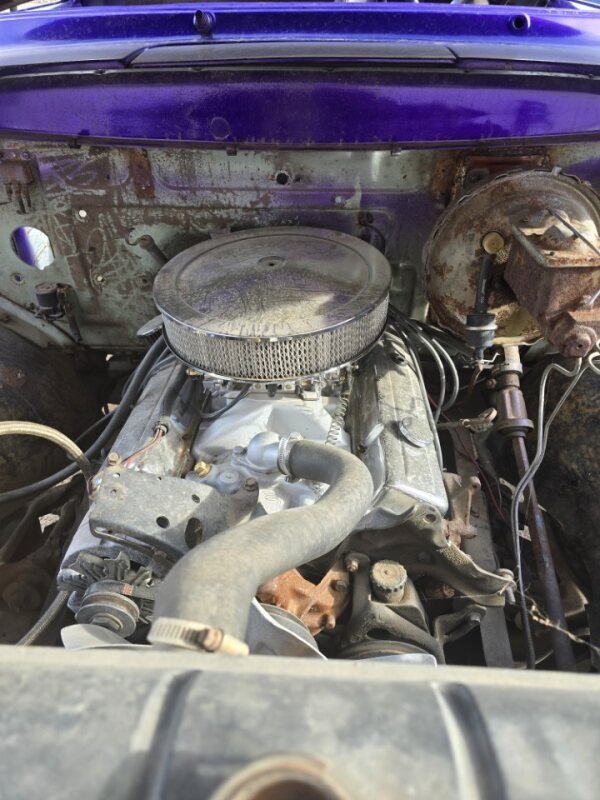 1954 Ford F100