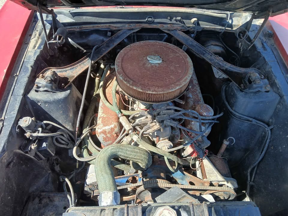 1969 Ford Mustang