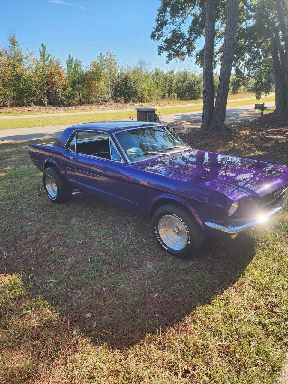 1966 Ford Mustang