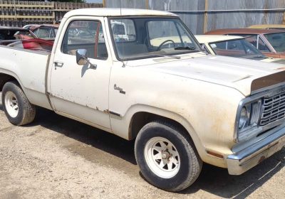 525013456_4017067271937907_2251408298148880393_n