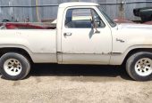 1978 Dodge D150