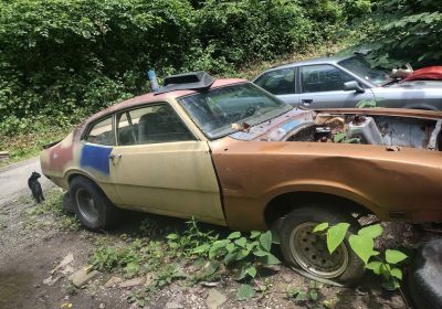 518272132_735126745978231_6675430889930571239_n