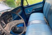 1979 Ford F150