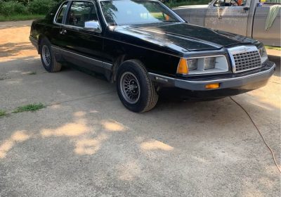 526813962_2541567186210562_4085423481173237173_n