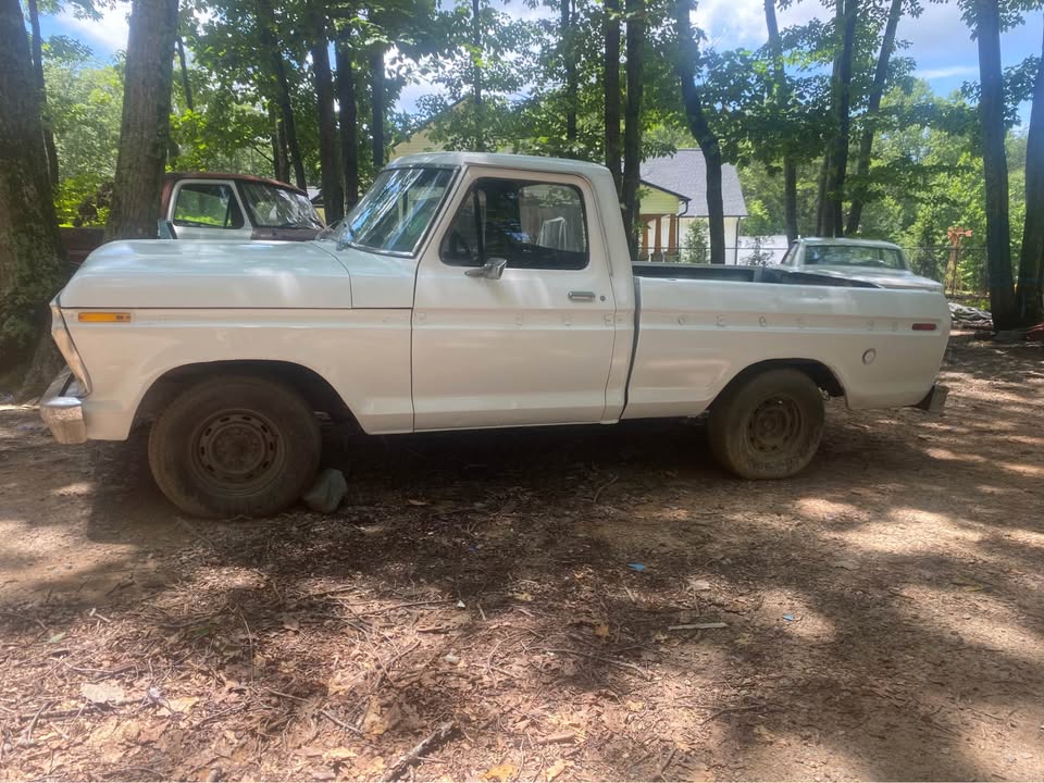 1976 Ford F100